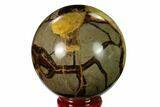 2.4" Polished Septarian Sphere - Madagascar - #154127-1